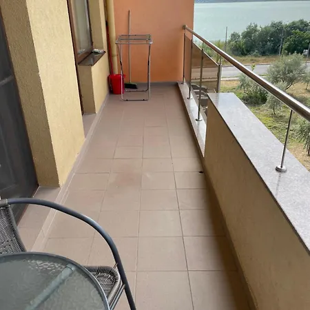 Summerland Crazy Mamaia