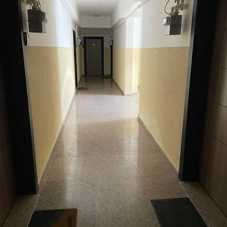 Summerland Crazy * Mamaia